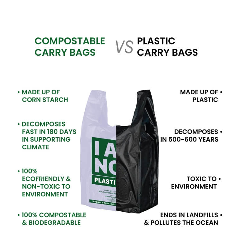 9x13 Compostable Carry Bag - Boutique Shopping Bag